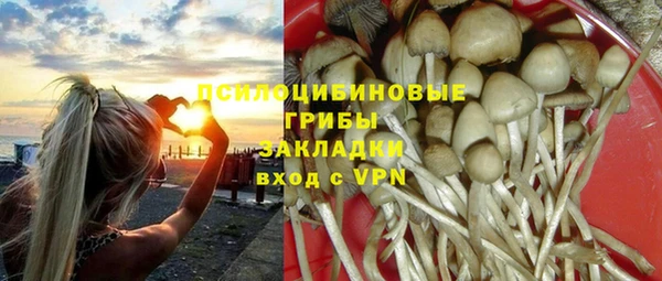 герыч Богородск